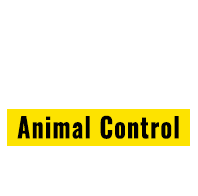 Animal Control System